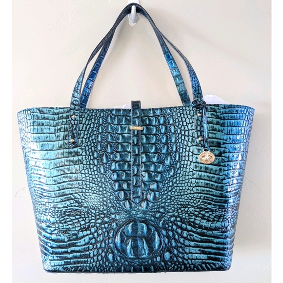 brahmin all day tote